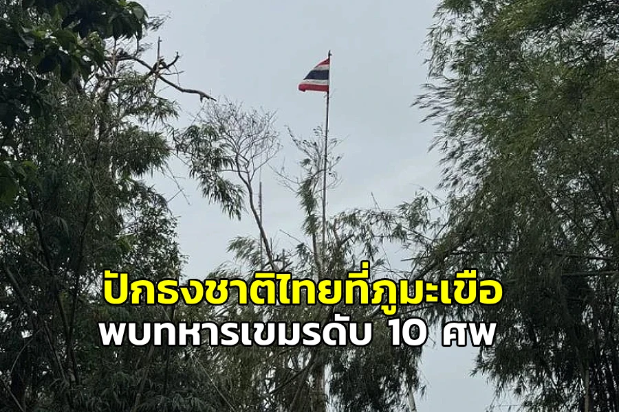 ภูมะเขือ
